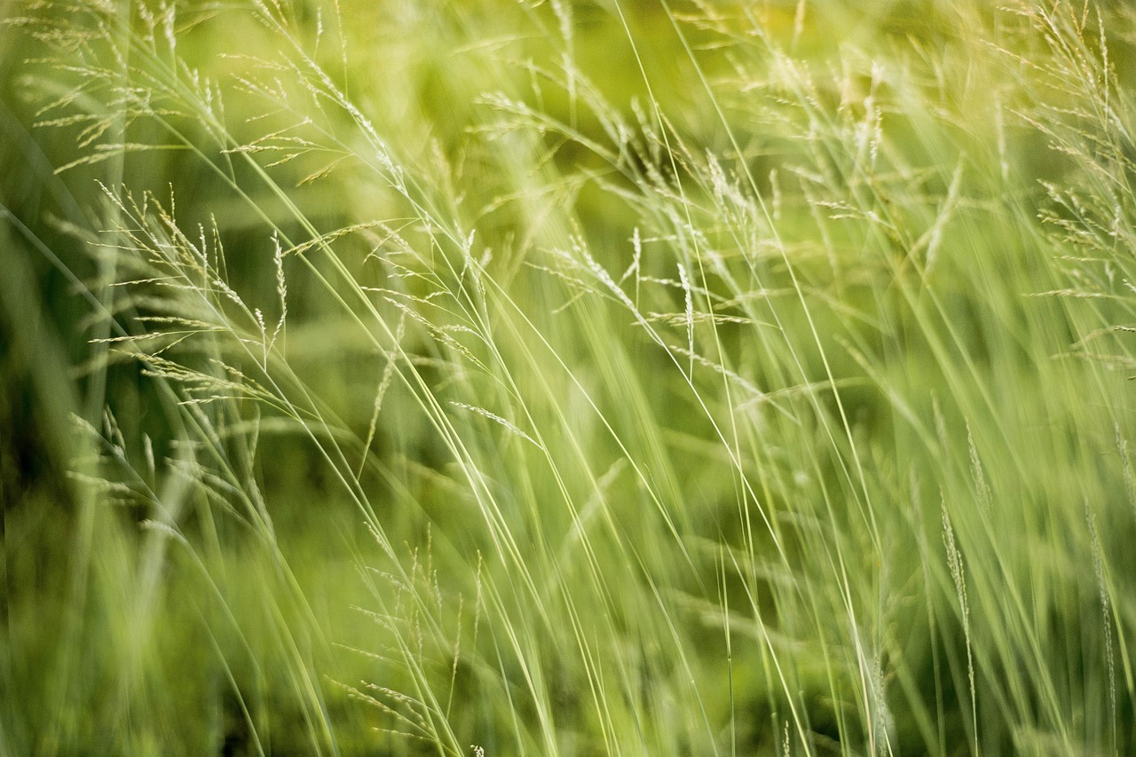 Eco-Marketing: Is This a Green Solution for Businesses?